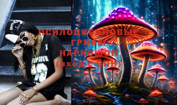 мдпв Балахна