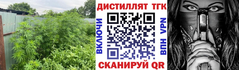 купить наркотики цена  Пучеж  ТГК вейп 