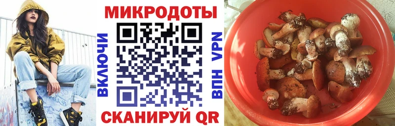 Псилоцибиновые грибы Psilocybe  Пучеж 